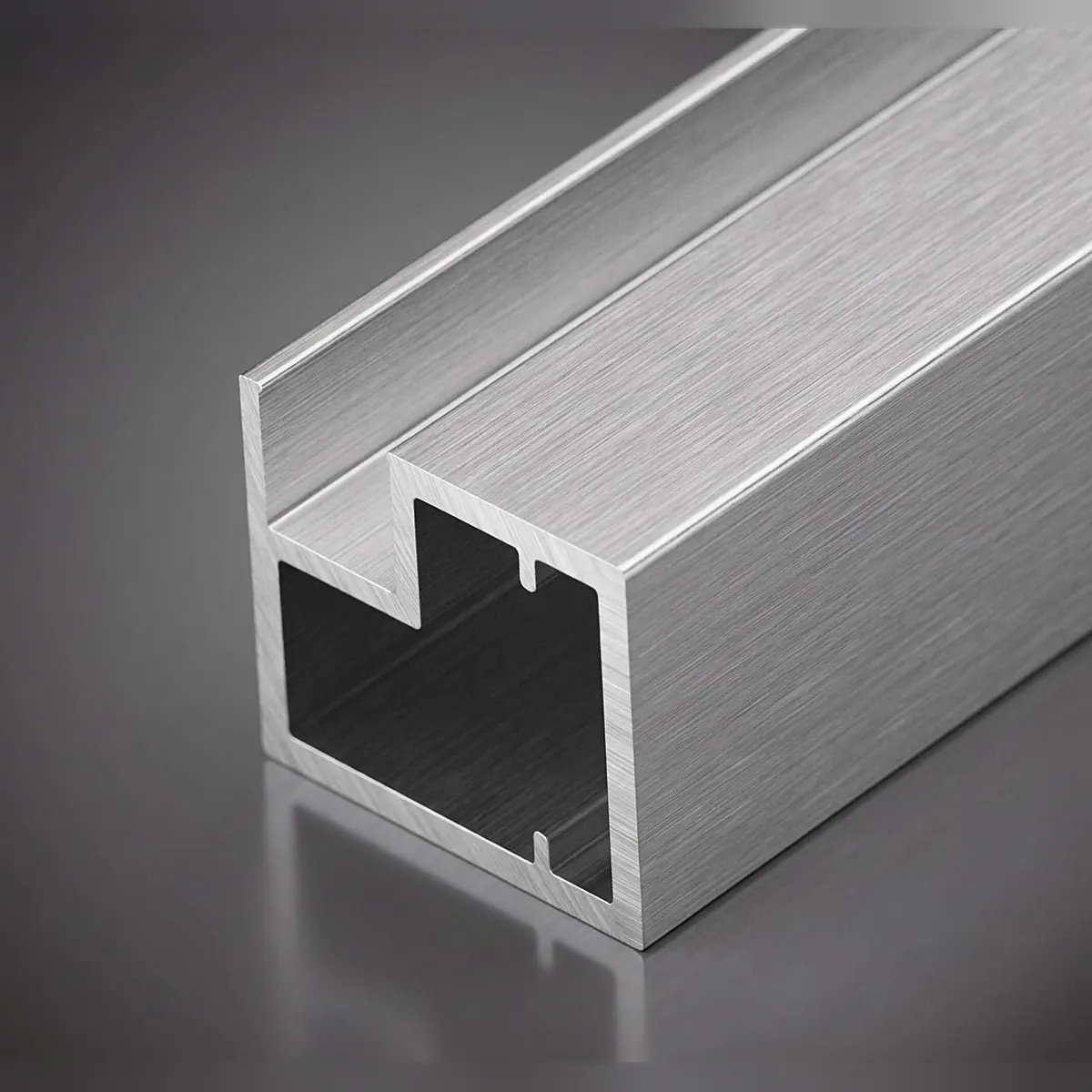 20-20 Insert aluminium profile in silver finish